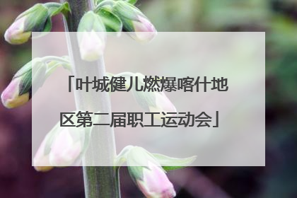 叶城健儿燃爆喀什地区第二届职工运动会