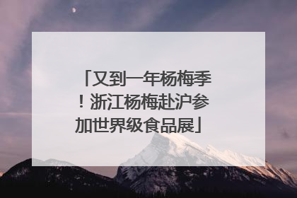 又到一年杨梅季！浙江杨梅赴沪参加世界级食品展