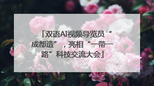 双语AI视频导览员“成都造”，亮相“一带一路”科技交流大会