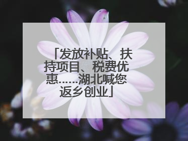 发放补贴、扶持项目、税费优惠……湖北喊您返乡创业