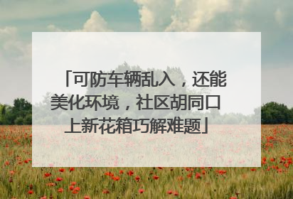 可防车辆乱入，还能美化环境，社区胡同口上新花箱巧解难题