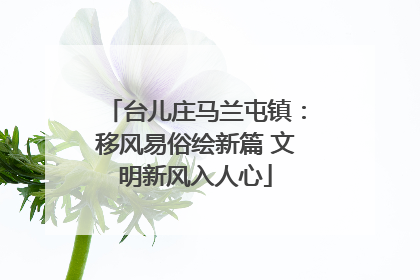 台儿庄马兰屯镇：移风易俗绘新篇 文明新风入人心