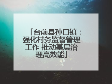 台前县孙口镇：强化村务监督管理工作 推动基层治理高效能