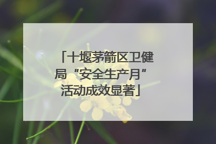 十堰茅箭区卫健局“安全生产月”活动成效显著