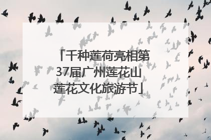 千种莲荷亮相第37届广州莲花山莲花文化旅游节
