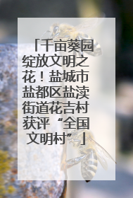 千亩葵园绽放文明之花！盐城市盐都区盐渎街道花吉村获评“全国文明村”