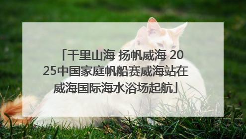 千里山海 扬帆威海 2025中国家庭帆船赛威海站在威海国际海水浴场起航