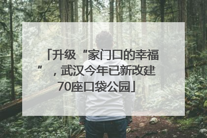 升级“家门口的幸福”，武汉今年已新改建70座口袋公园