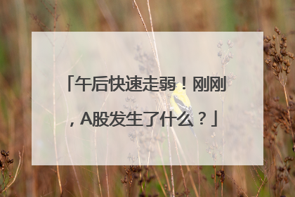 午后快速走弱！刚刚，A股发生了什么？