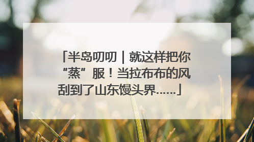 半岛叨叨｜就这样把你“蒸”服！当拉布布的风刮到了山东馒头界……