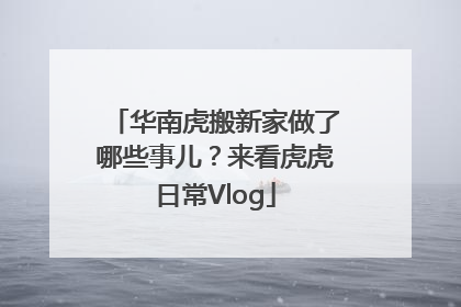 华南虎搬新家做了哪些事儿？来看虎虎日常Vlog