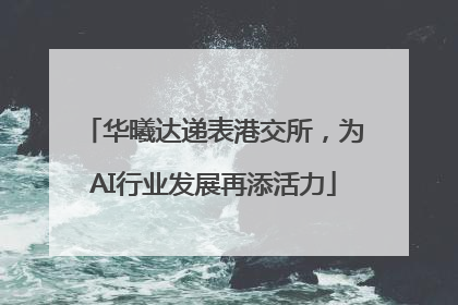 华曦达递表港交所，为AI行业发展再添活力