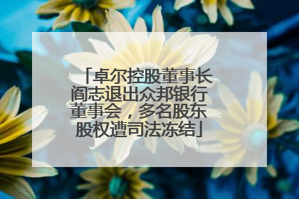 卓尔控股董事长阎志退出众邦银行董事会，多名股东股权遭司法冻结