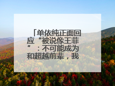 单依纯正面回应“被说像王菲”：不可能成为和超越前辈，我想致敬他们