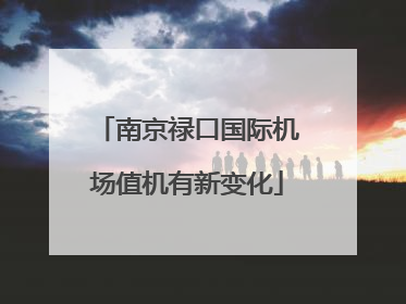 南京禄口国际机场值机有新变化