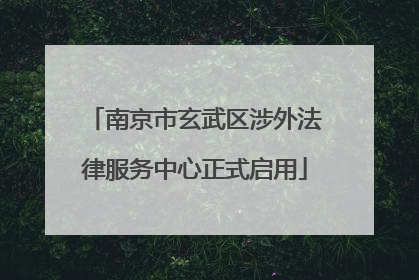 南京市玄武区涉外法律服务中心正式启用