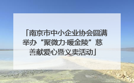 南京市中小企业协会圆满举办“聚微力·暖金陵”慈善献爱心暨义卖活动