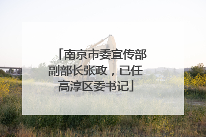 南京市委宣传部副部长张政，已任高淳区委书记