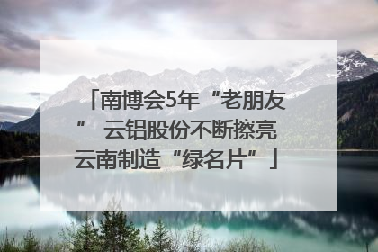 南博会5年“老朋友” 云铝股份不断擦亮云南制造“绿名片”