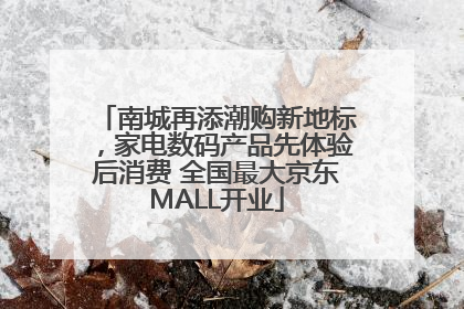 南城再添潮购新地标，家电数码产品先体验后消费 全国最大京东MALL开业