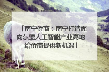 南宁侨商：南宁打造面向东盟人工智能产业高地给侨商提供新机遇