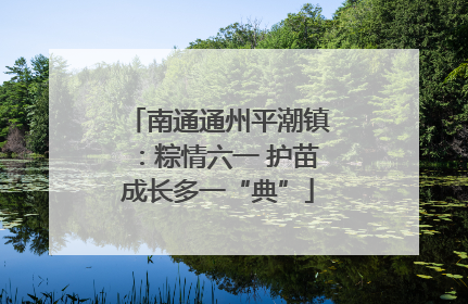 南通通州平潮镇：粽情六一 护苗成长多一“典”