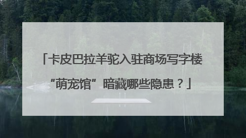 卡皮巴拉羊驼入驻商场写字楼 “萌宠馆”暗藏哪些隐患？