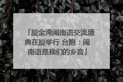 厦金湾闽南语交流盛典在厦举行 台胞：闽南语是我们的乡音