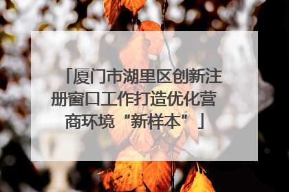 厦门市湖里区创新注册窗口工作打造优化营商环境“新样本”