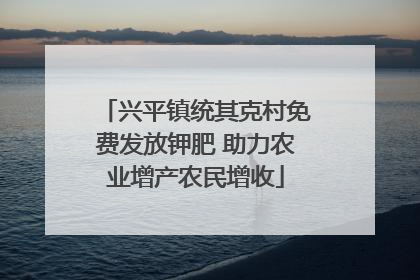 兴平镇统其克村免费发放钾肥 助力农业增产农民增收