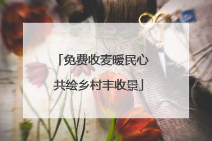 免费收麦暖民心 共绘乡村丰收景