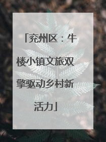 兖州区：牛楼小镇文旅双擎驱动乡村新活力