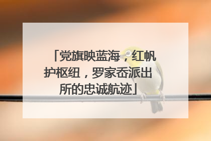 党旗映蓝海，红帆护枢纽，罗家岙派出所的忠诚航迹