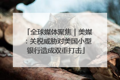 全球媒体聚焦｜美媒：关税威胁对美国小型银行造成双重打击