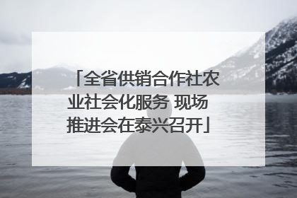 全省供销合作社农业社会化服务 现场推进会在泰兴召开