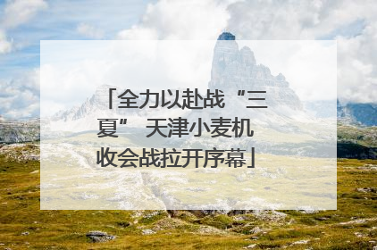 全力以赴战“三夏” 天津小麦机收会战拉开序幕