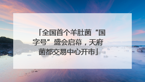 全国首个羊肚菌“国字号”盛会启幕，天府菌都交易中心开市
