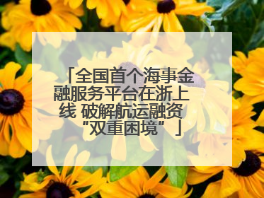 全国首个海事金融服务平台在浙上线 破解航运融资“双重困境”