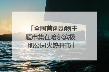 全国首创动物主题市集在哈尔滨极地公园火热开市