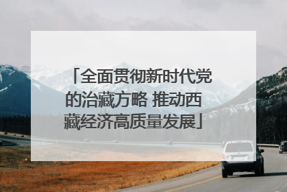 全面贯彻新时代党的治藏方略 推动西藏经济高质量发展