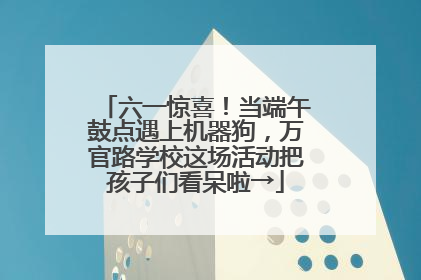 六一惊喜！当端午鼓点遇上机器狗，万官路学校这场活动把孩子们看呆啦→