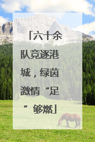 六十余队竞逐港城，绿茵激情“足”够燃