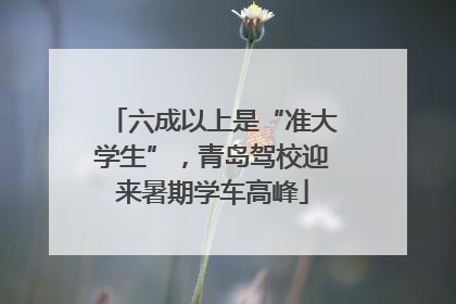 六成以上是“准大学生”，青岛驾校迎来暑期学车高峰