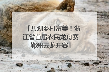 共划乡村富美！浙江省首届农民龙舟赛鄞州云龙开赛