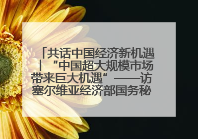 共话中国经济新机遇丨“中国超大规模市场带来巨大机遇”——访塞尔维亚经济部国务秘书尼科利奇