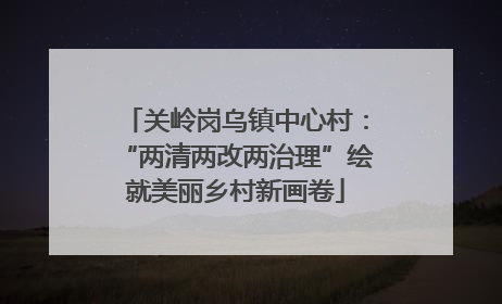 关岭岗乌镇中心村：“两清两改两治理”绘就美丽乡村新画卷