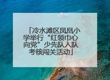 冷水滩区凤凰小学举行“红领巾心向党”少先队入队考核闯关活动