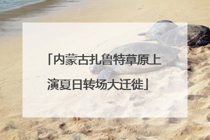 内蒙古扎鲁特草原上演夏日转场大迁徙