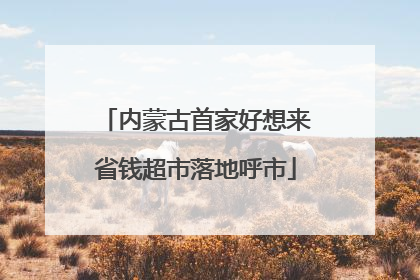 内蒙古首家好想来省钱超市落地呼市