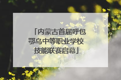 内蒙古首届呼包鄂乌中等职业学校技能联赛启幕